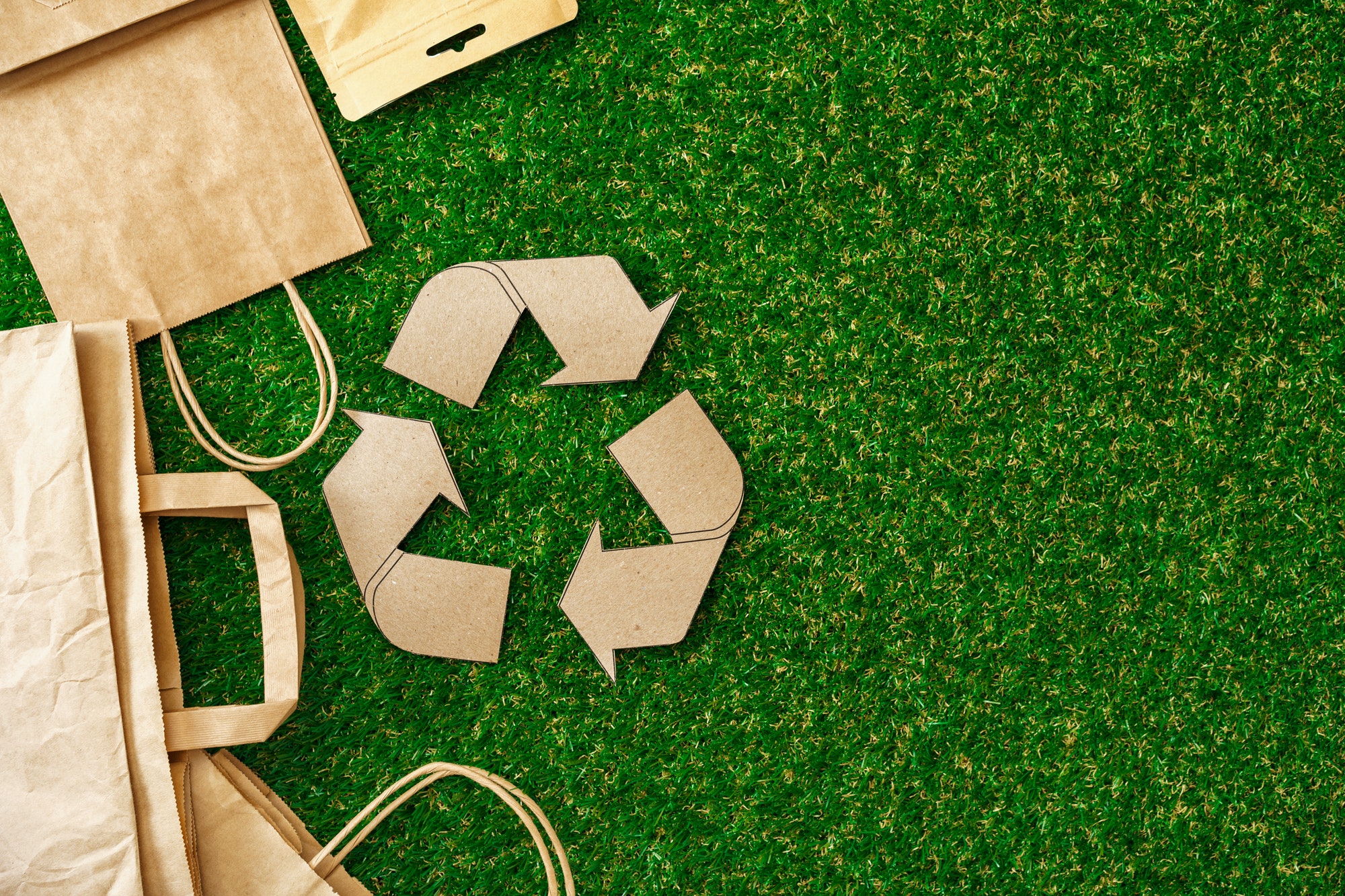 Why do we need to be eco-friendly ?